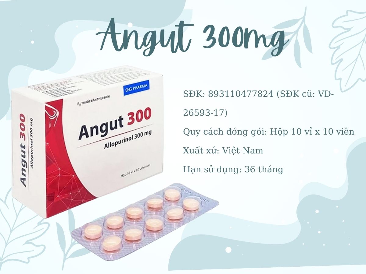 Angut 300mg giảm hình thành acid uric, điều trị sỏi thận