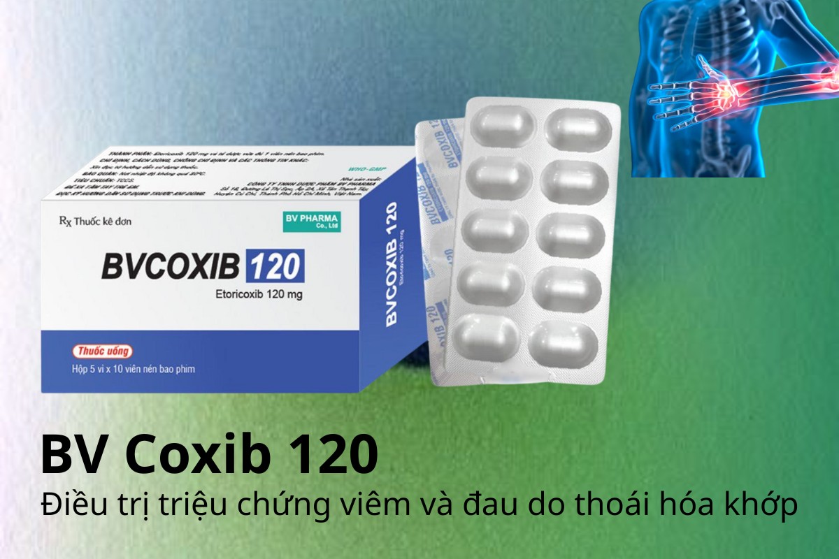 BV Coxib 120 7 BV Coxib 120 điều trị triệu chứng viêm và đau do thoái hóa khớp