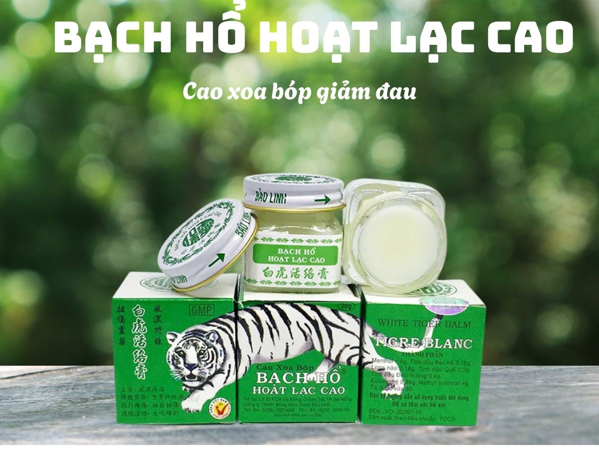 Bạch Hổ Hoạt Lạc Cao
