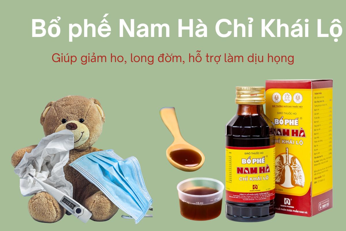 Bổ phế Nam Hà Chỉ Khái Lộ