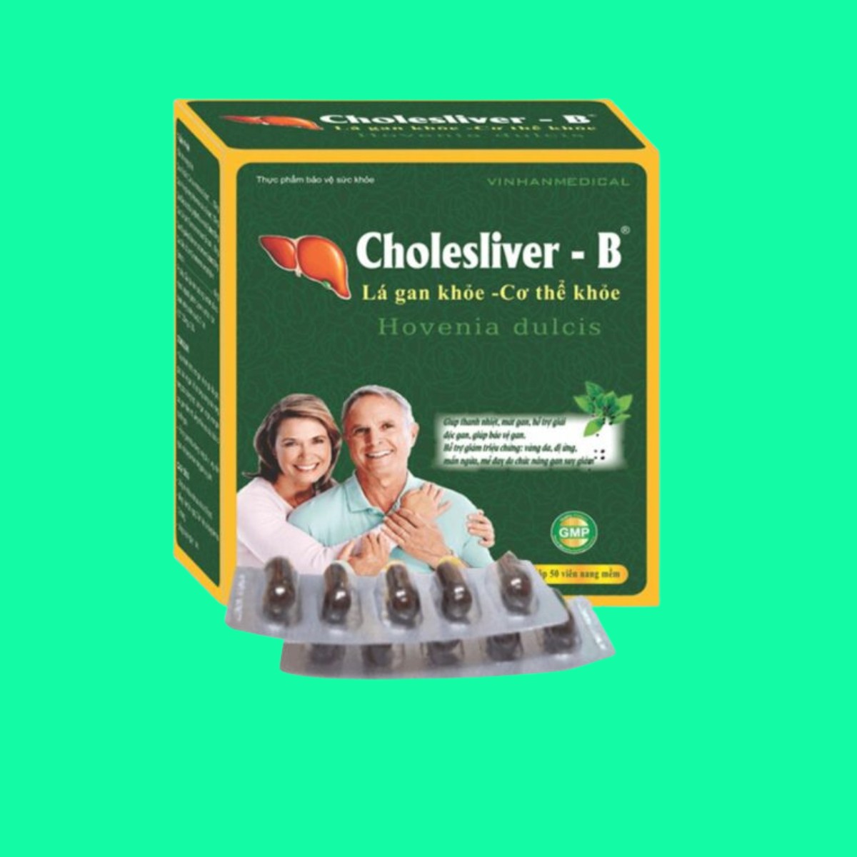 Cholesliver-B-1 Cholesliver-B