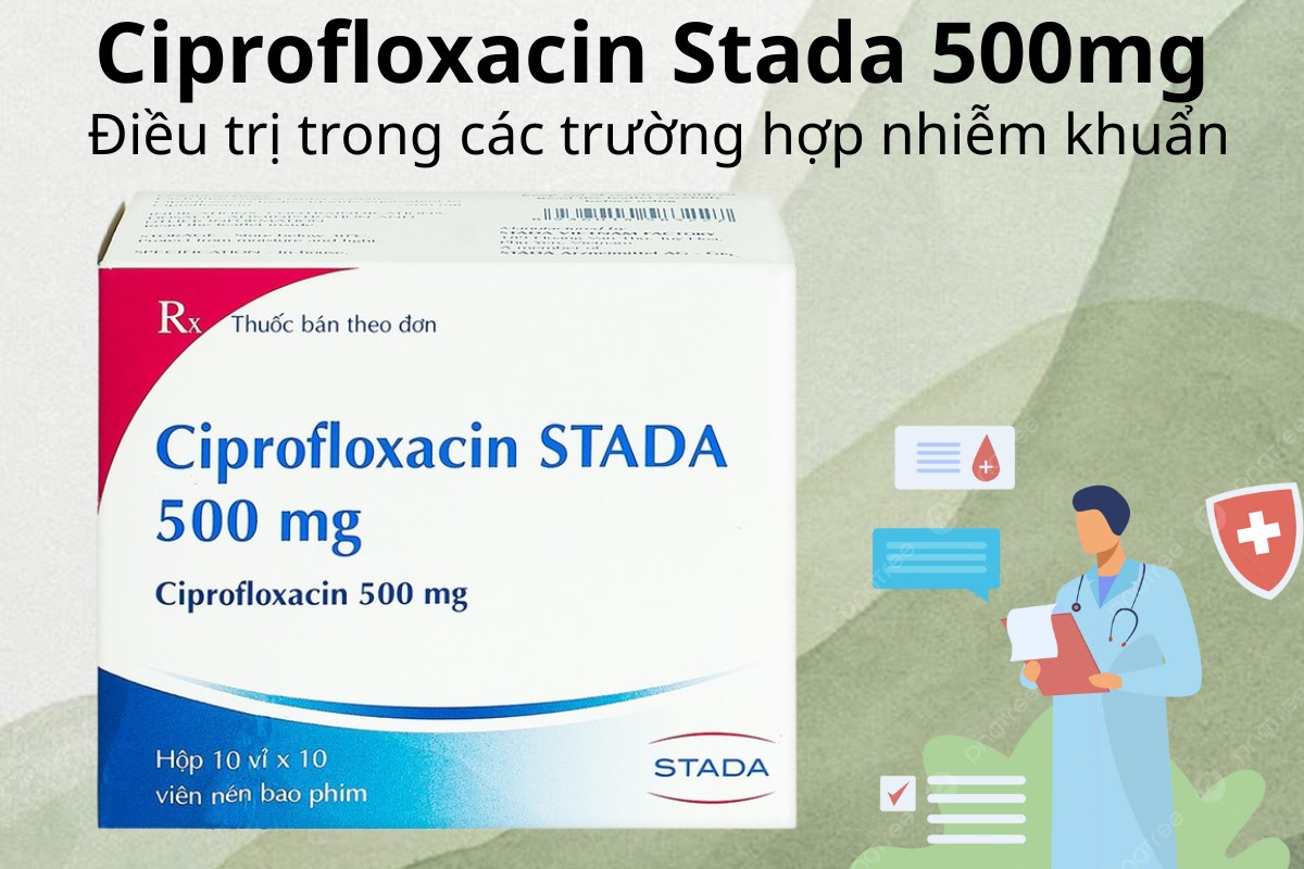 Ciprofloxacin Stada 500mg 10 Ciprofloxacin Stada 500mg điều trị nhiễm khuẩn
