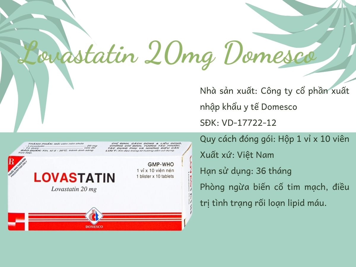 Thông tin thuốc Lovastatin 20mg Domesco