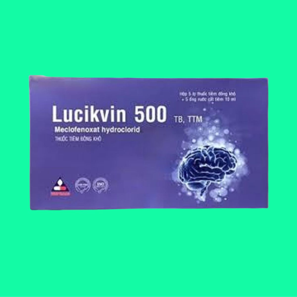 Lucikvin 500 (1) Lucikvin 500