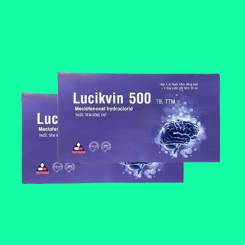 Lucikvin 500 2 Lucikvin 500