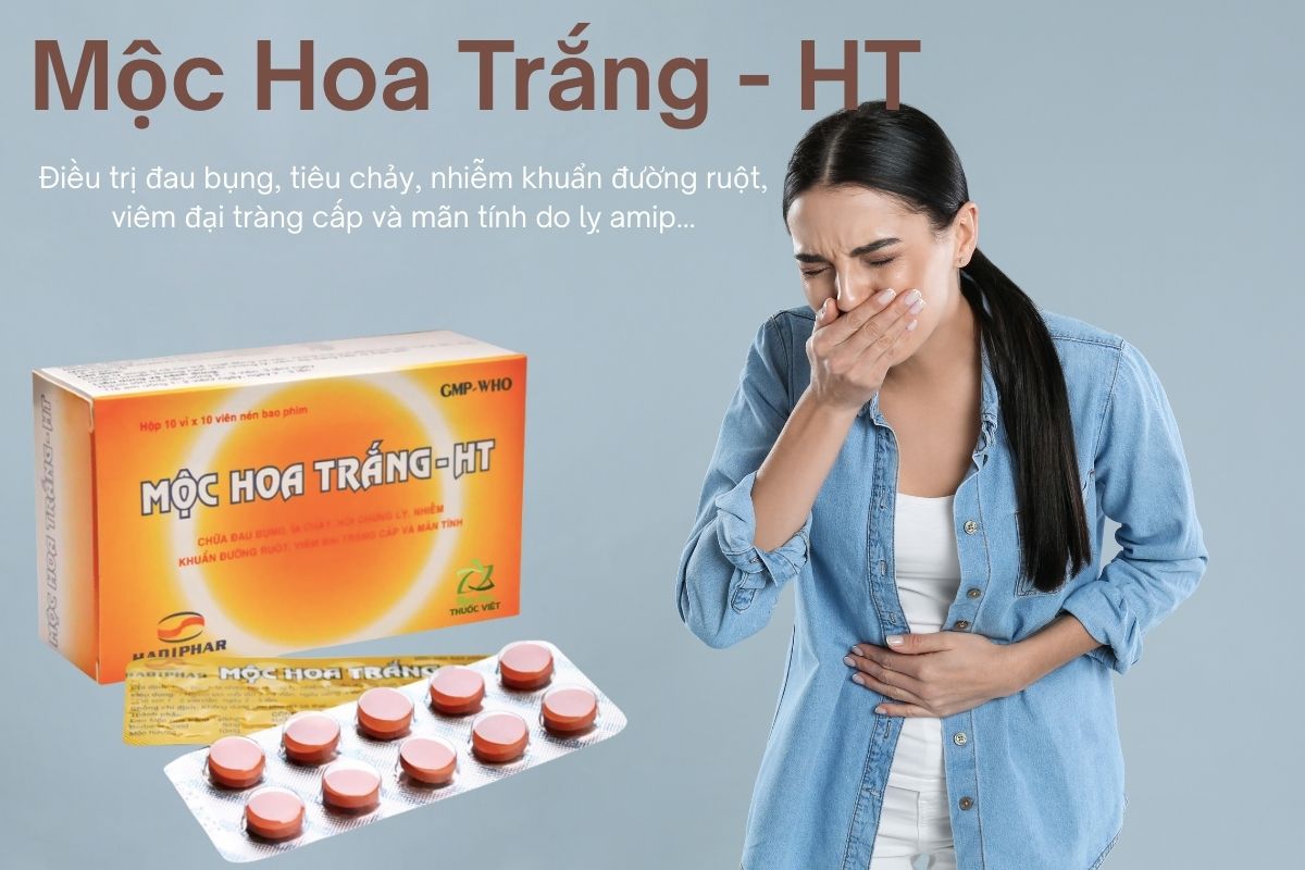 Mộc Hoa Trắng-HT 9 Mộc Hoa Trắng-HT
