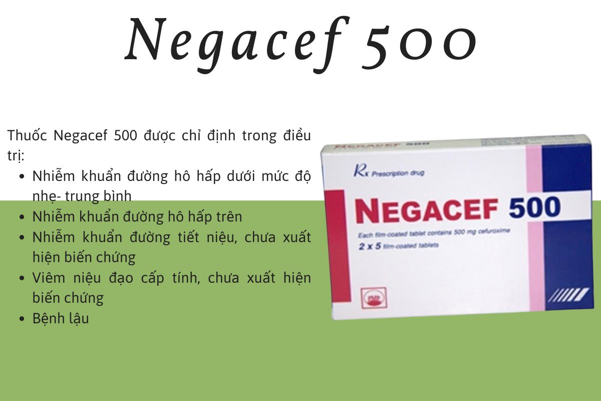 Negacef 500 6 Negacef 500 điều trị nhiễm khuẩn nhẹ - trung bình
