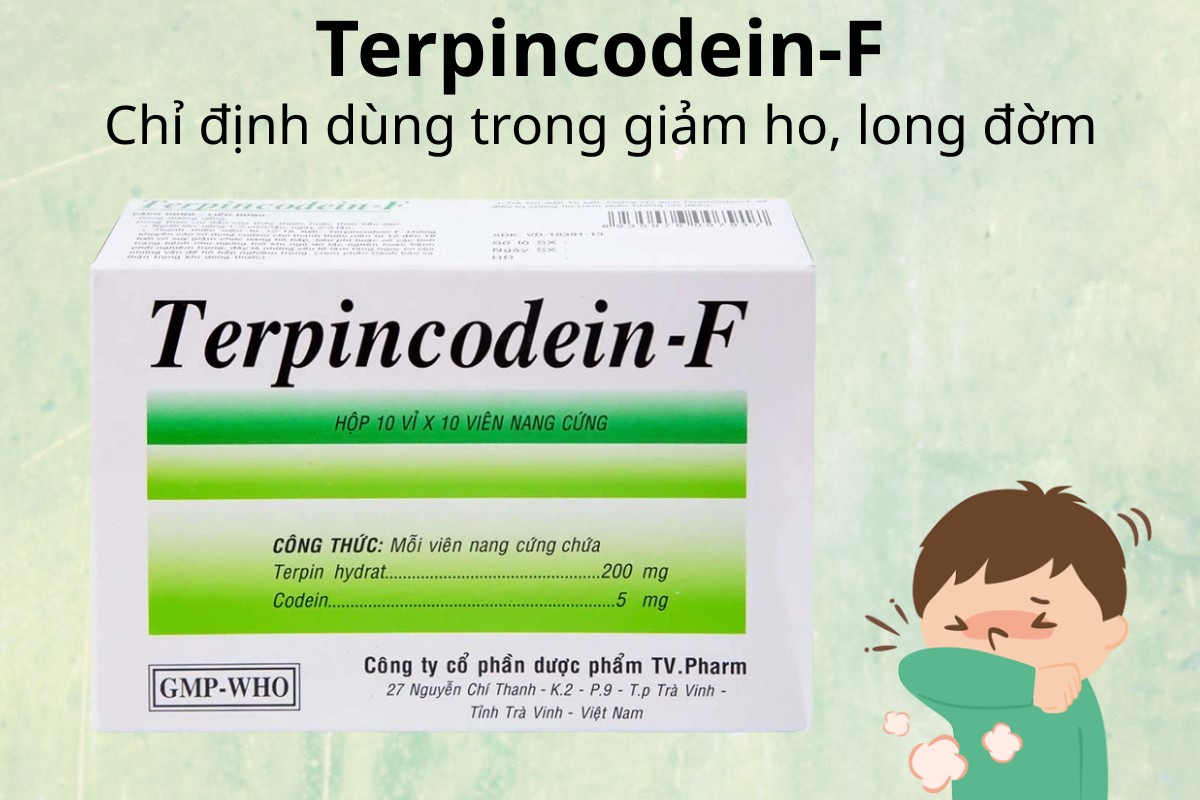 Terpincodein-F chỉ định dùng trong giảm ho, long đờm