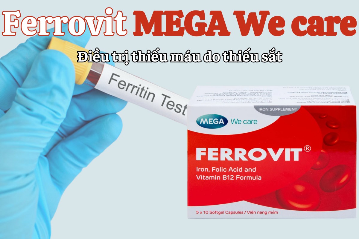 Ferrovit MEGA We care 13 Ferrovit MEGA We care điều trị thiếu máu do thiếu sắt