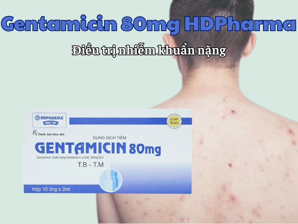 Gentamicin 80mg HDPharma điều trị nhiễm khuẩn nặng