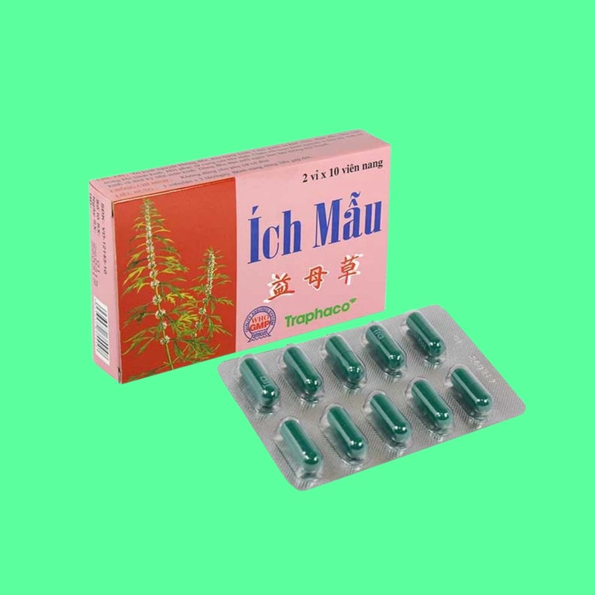 ich-mau-traphaco-1 Ích Mẫu Traphaco