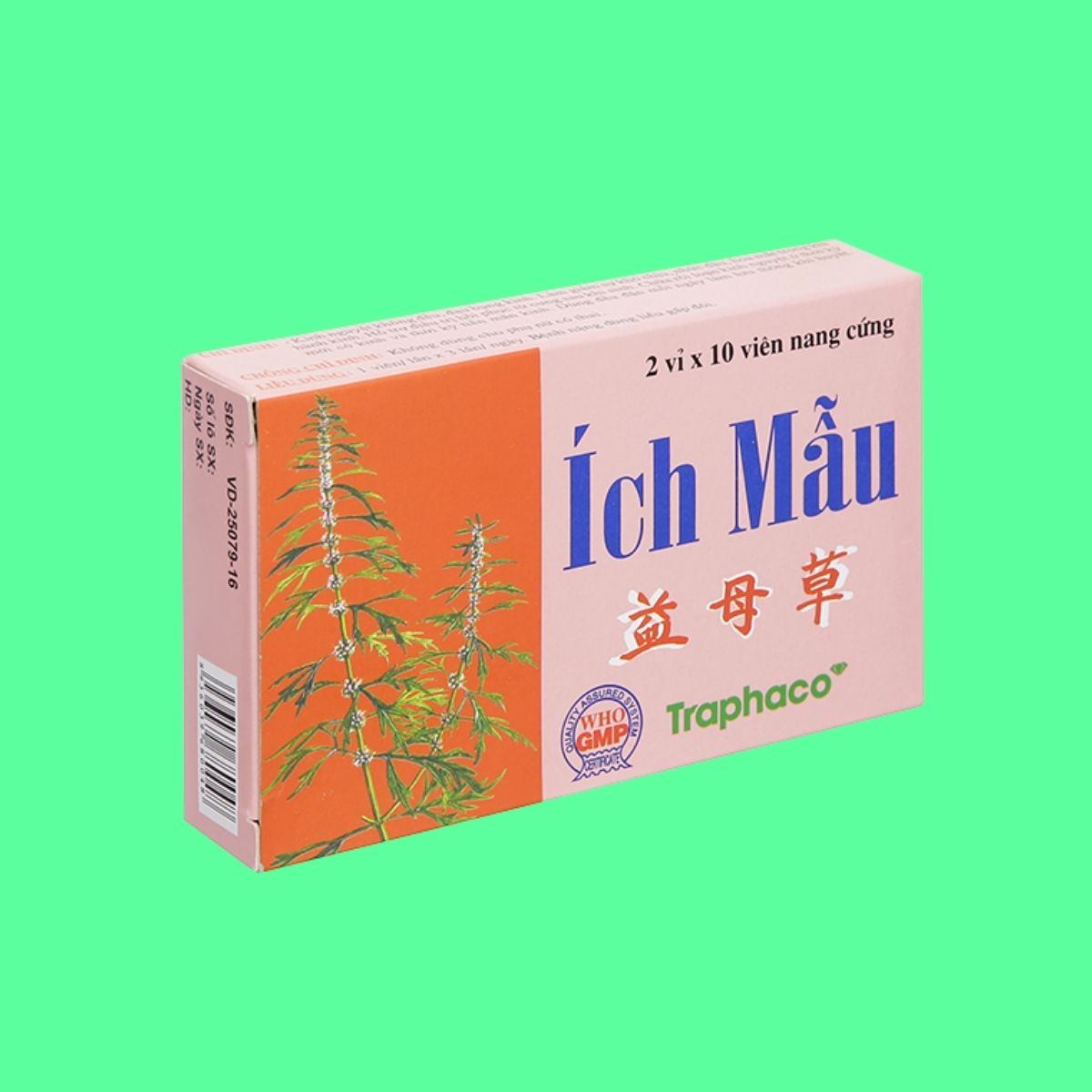 ich-mau-traphaco-4 Ích Mẫu Traphaco