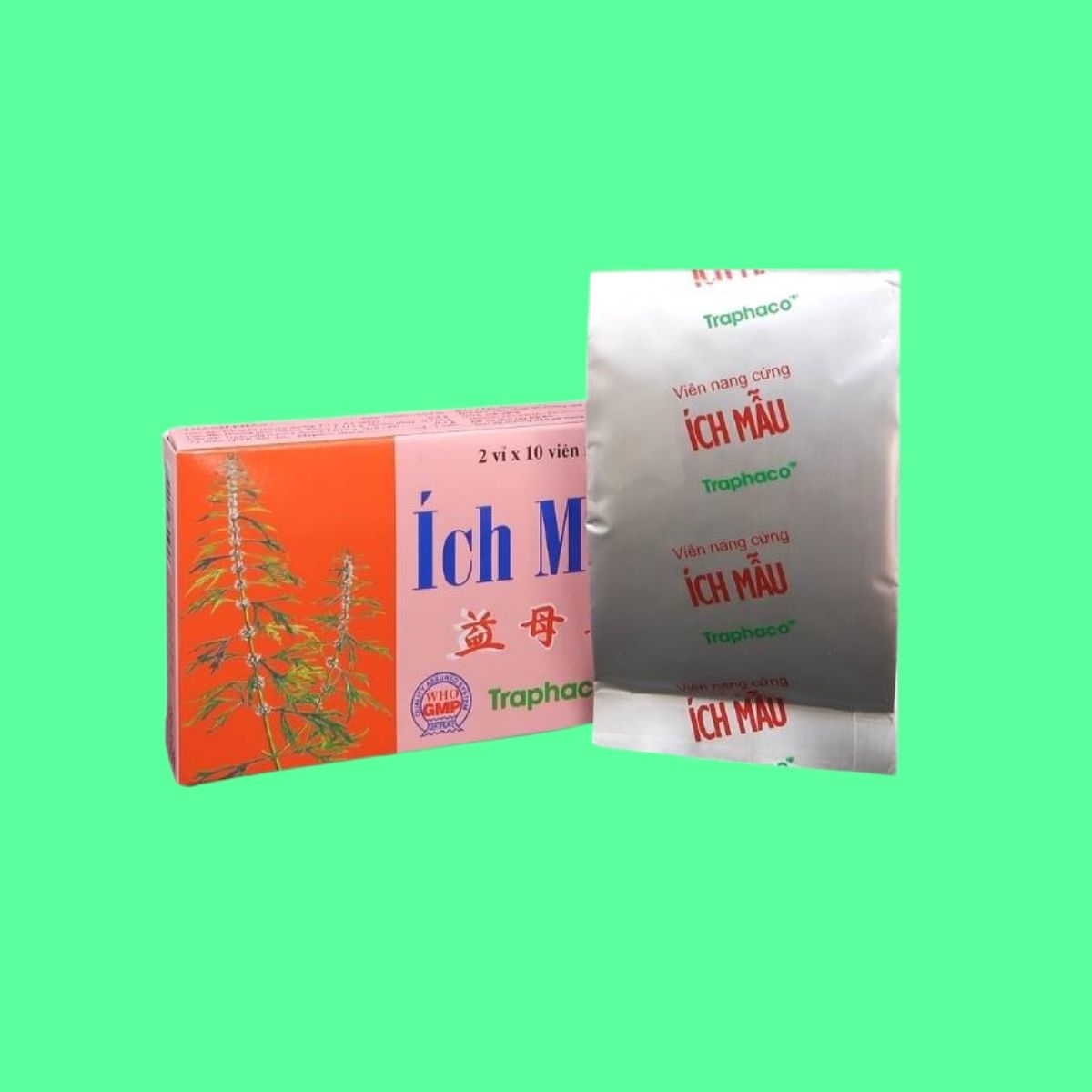 ich-mau-traphaco-5 Ích Mẫu Traphaco
