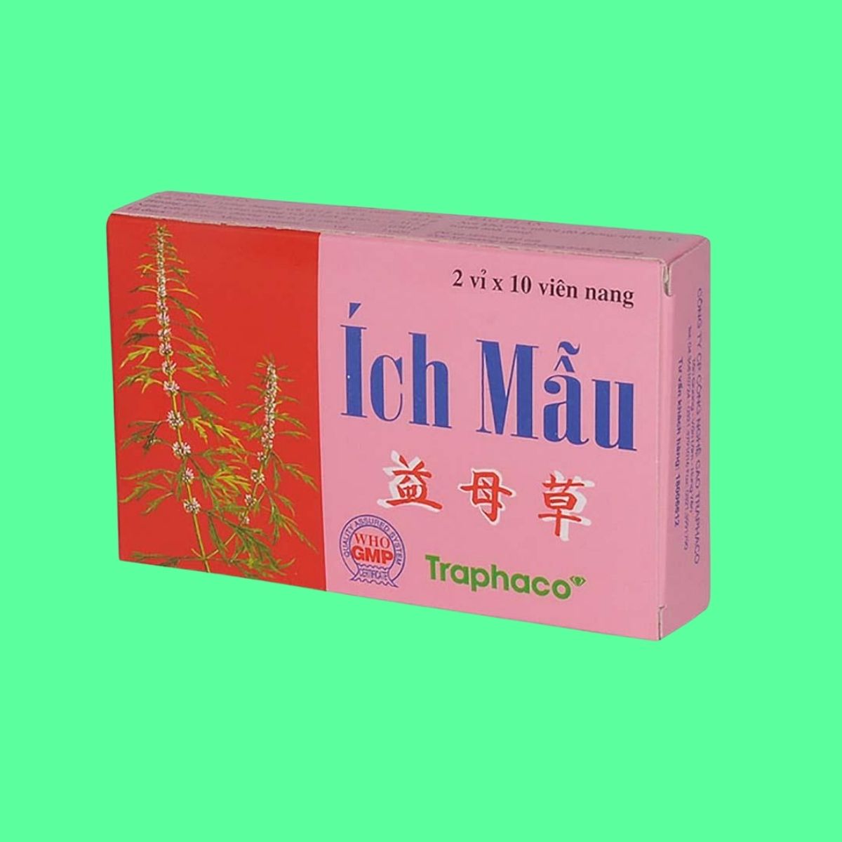 ich-mau-traphaco Ích Mẫu Traphaco