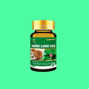 Nấm Linh Chi Plus 3 Nấm Linh Chi Plus