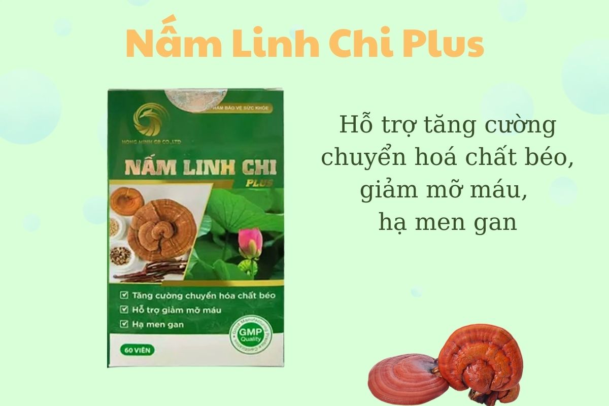 Nấm Linh Chi Plus 7 Nấm Linh Chi Plus