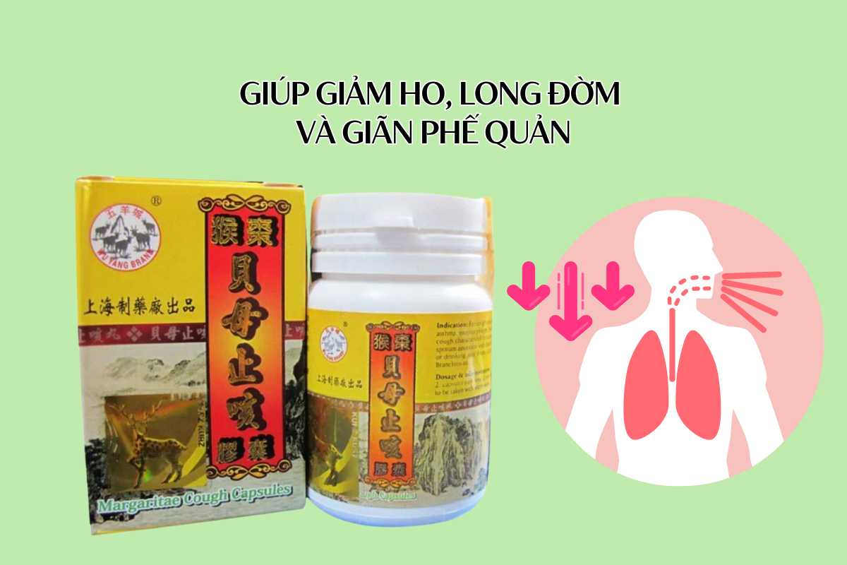 Margaritae Cough Capsules giúp giảm ho, long đờm và giãn phế quản