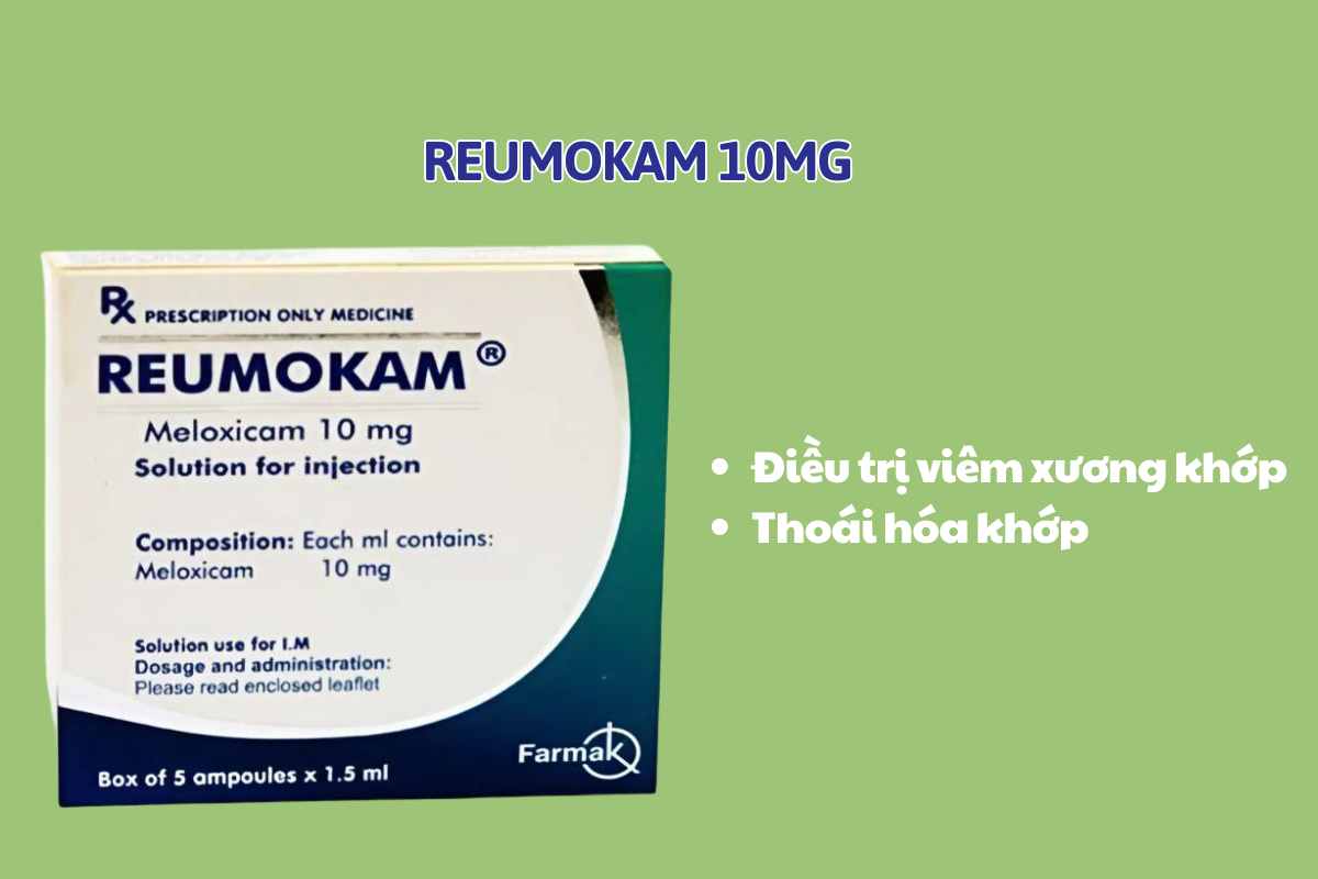 Reumokam 10mg 7 Reumokam 10mg điều trị thoái hóa khớp