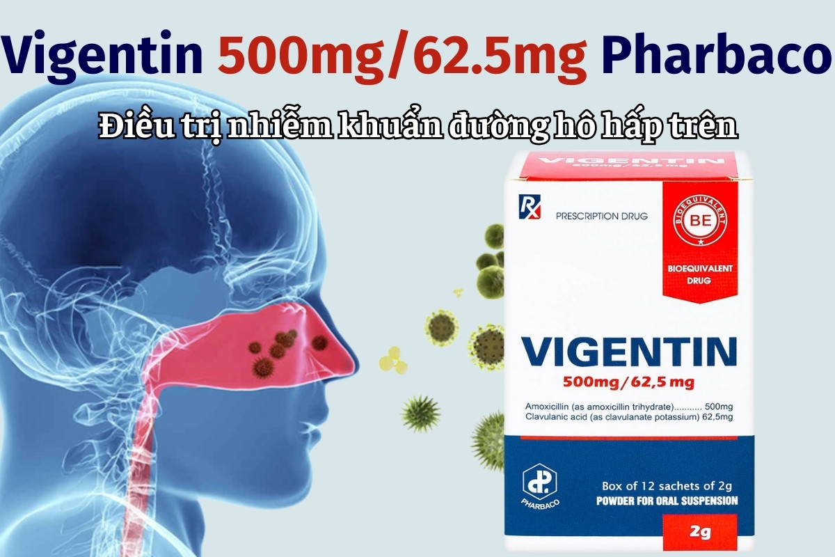 Vigentin 500mg/62.5mg Pharbaco 8 Vigentin 500mg/62.5mg Pharbaco điều trị nhiễm khuẩn đường hô hấp trên