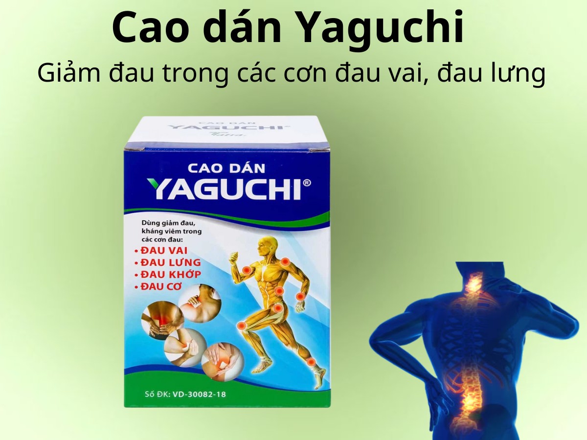 Cao dán Yaguchi giảm đau trong các cơn đau vai, đau lưng