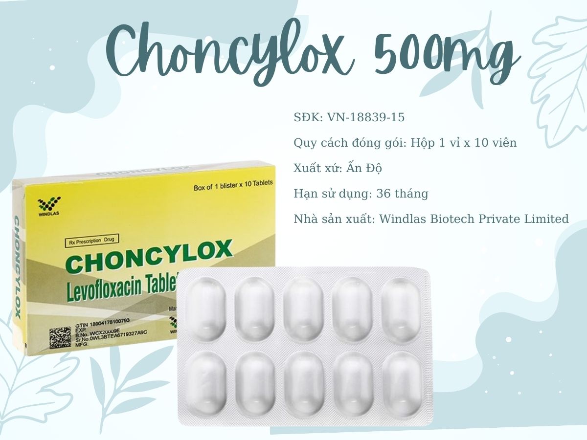 Thông tin sản phẩm Choncylox 500mg