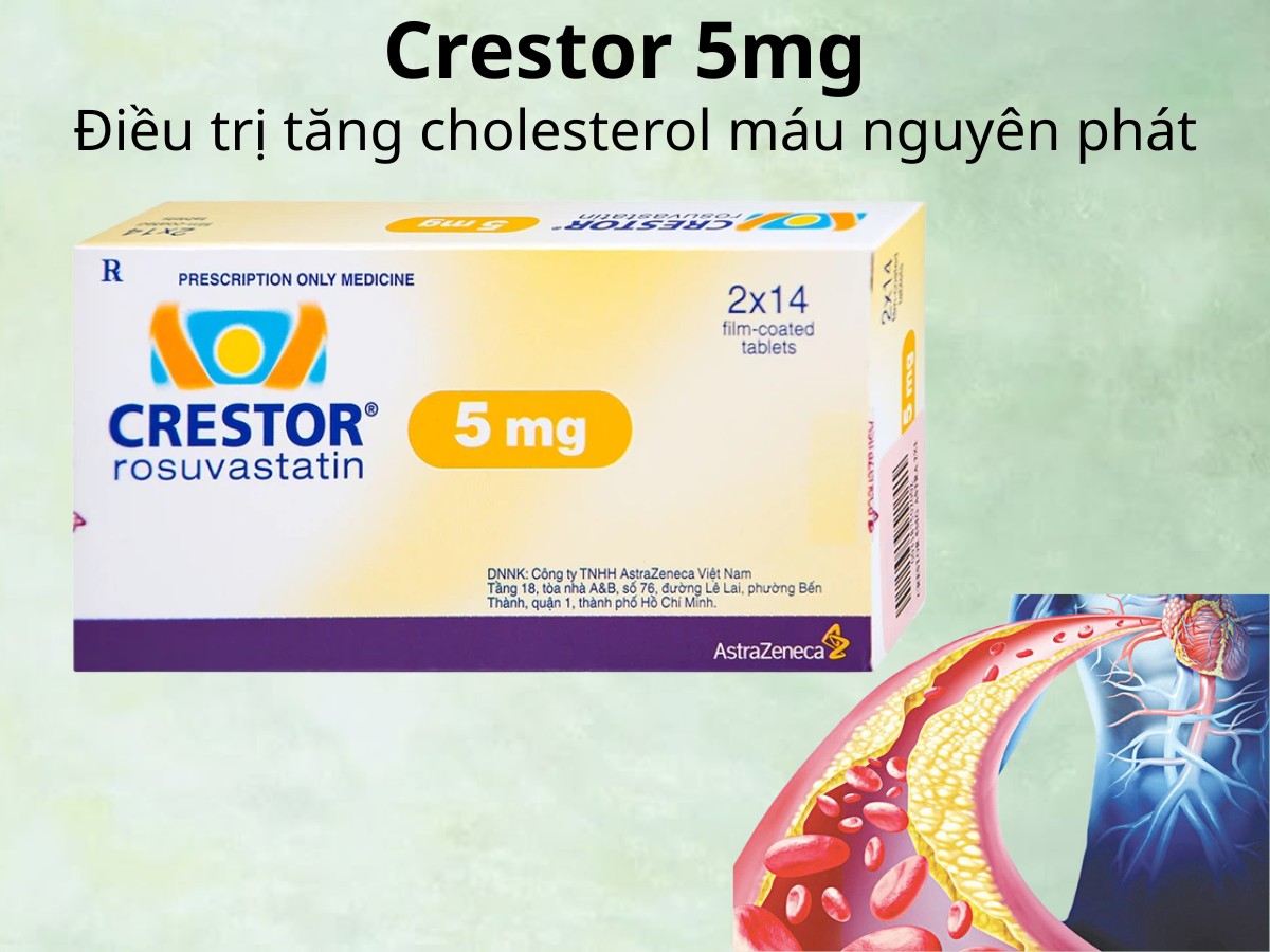 Crestor 5mg điều trị tăng cholesterol máu nguyên phát