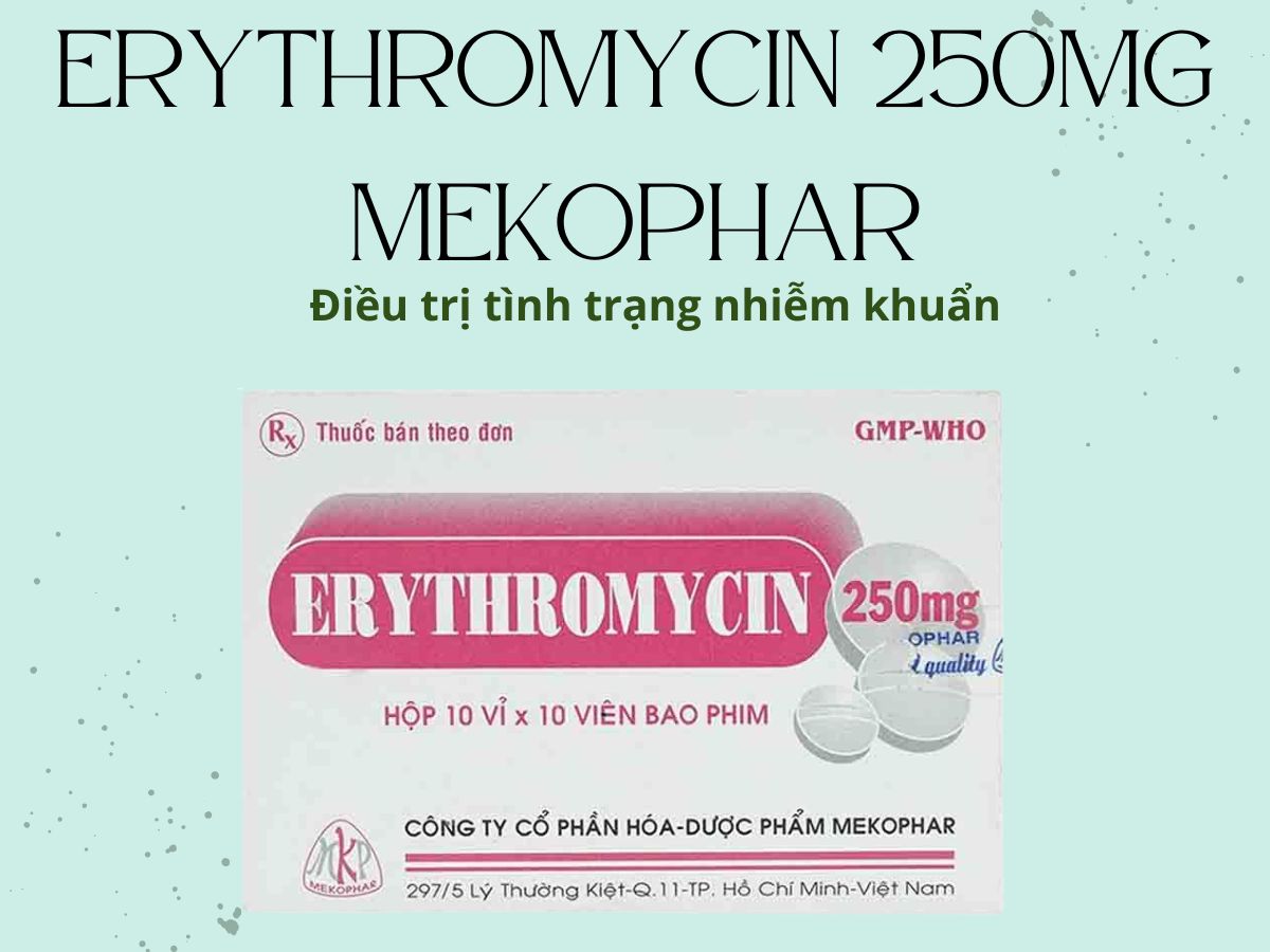 Erythromycin 250mg Mekophar 8 Erythromycin 250mg Mekophar phòng ngừa và điều trị nhiễm khuẩn