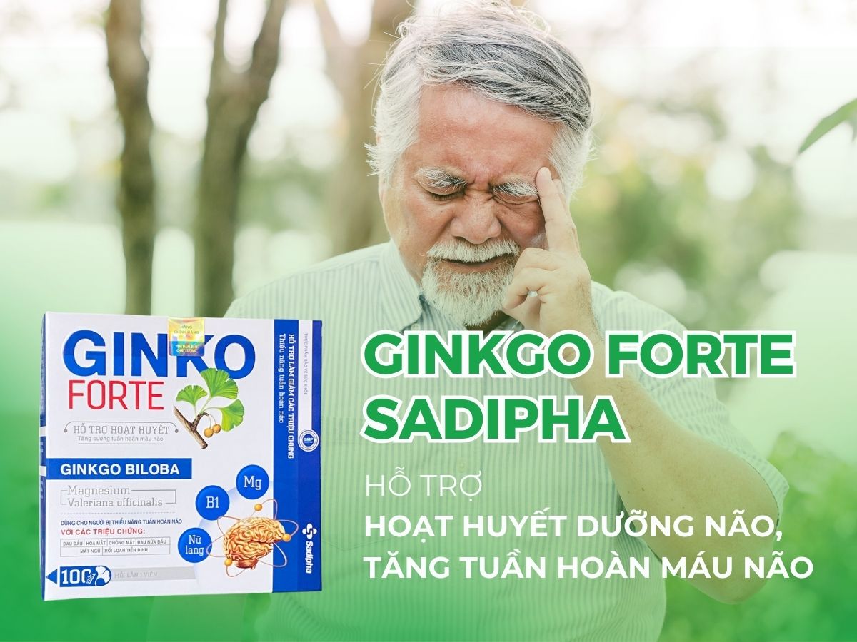 Ginko Forte Sadipha hỗ trợ hoạt huyết dưỡng não, tăng tuần hoàn máu não