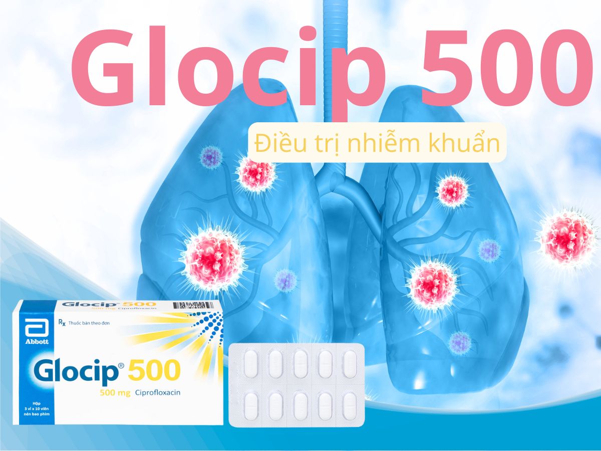 Glocip 500 18 Glocip 500