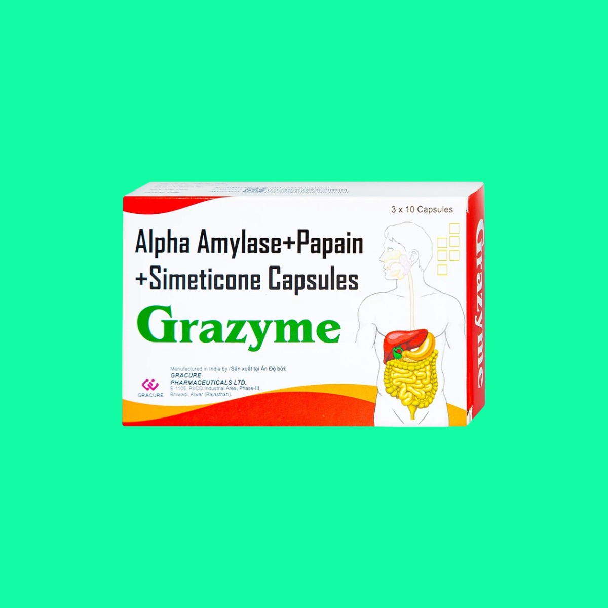 Grazyme-1 Grazyme