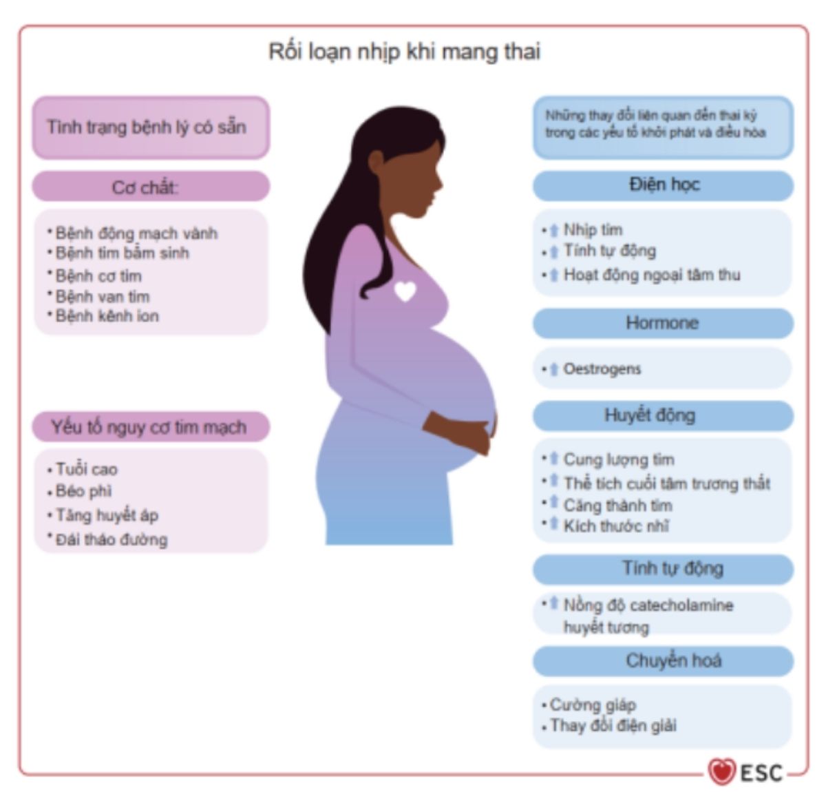 Hình 13: Rối loạn nhịp ở phụ nữ có thai