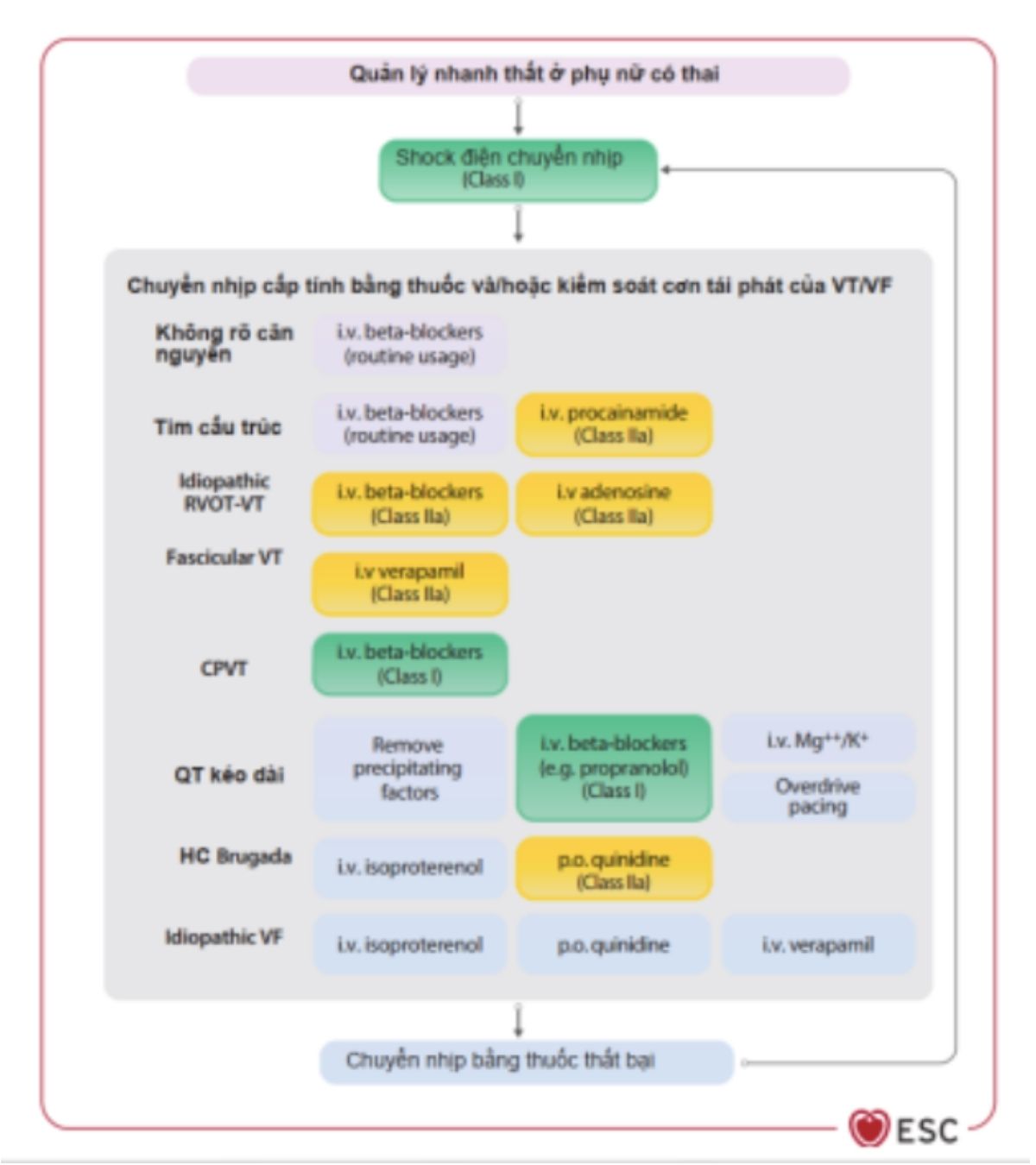 Hình 16: Quản lý nhanh thất ở phụ nữ có thai