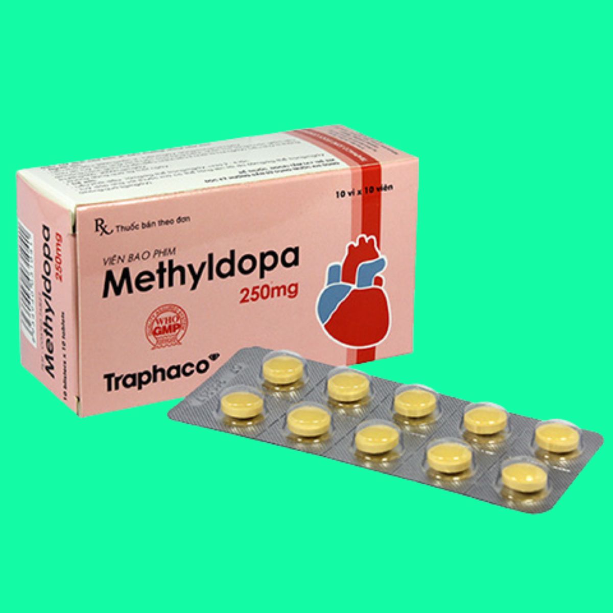 Methyldopa 250mg Traphaco (1) Methyldopa 250mg Traphaco