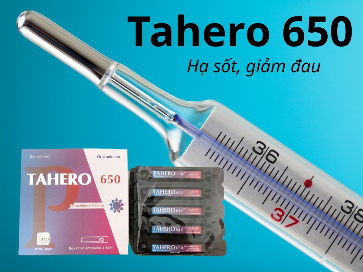 Tahero 650 11 Tahero 650