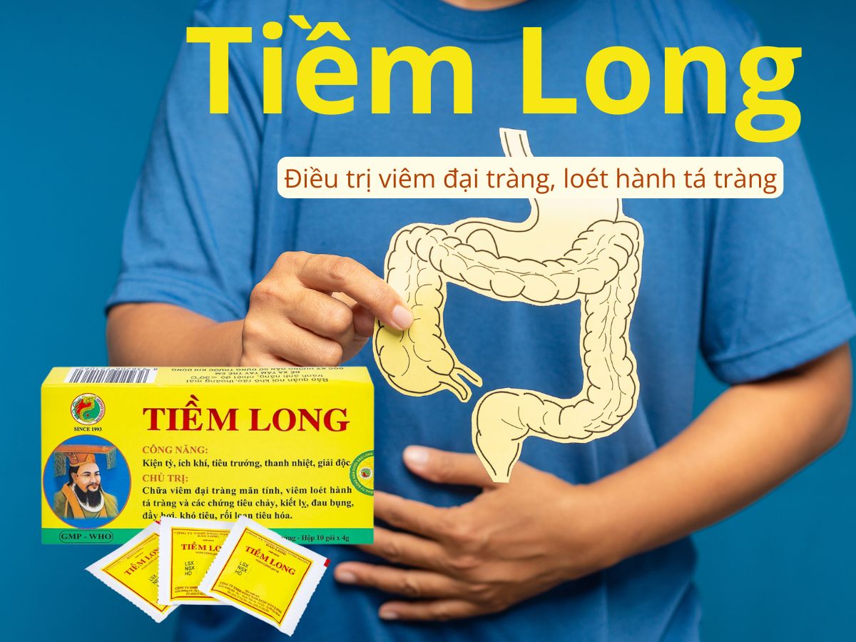 Tiềm Long 19 Tiềm Long