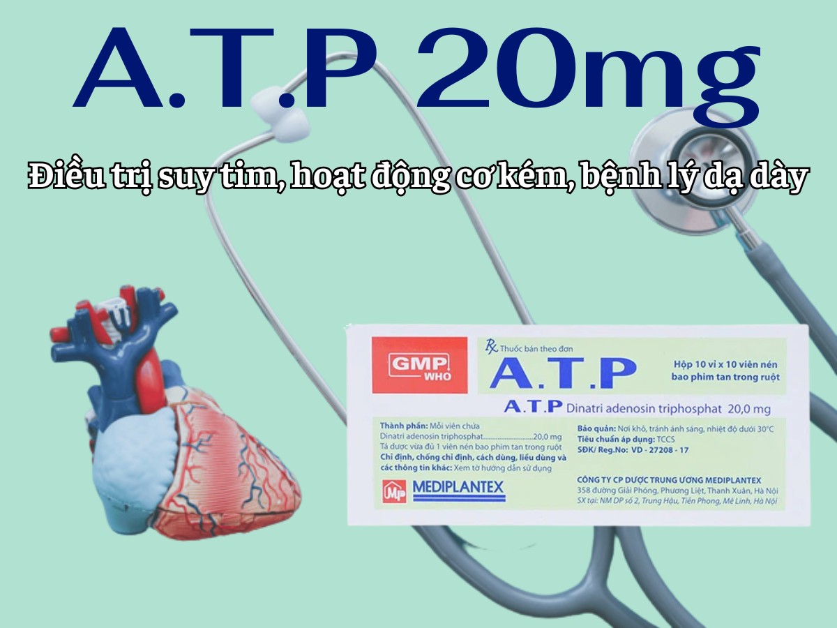 A.T.P 20mg 8 A.T.P 20mg điều trị suy tim, hoạt động cơ kém, bệnh lý dạ dày