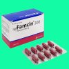 Agifamcin 300 6 Agifamcin 300
