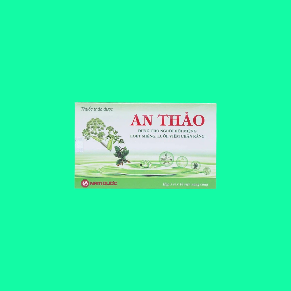 an-thao-1 An Thảo