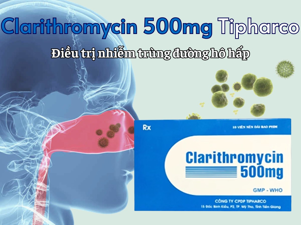Clarithromycin 500mg Tipharco 6 Clarithromycin 500mg Tipharco điều trị nhiễm trùng đường hô hấp