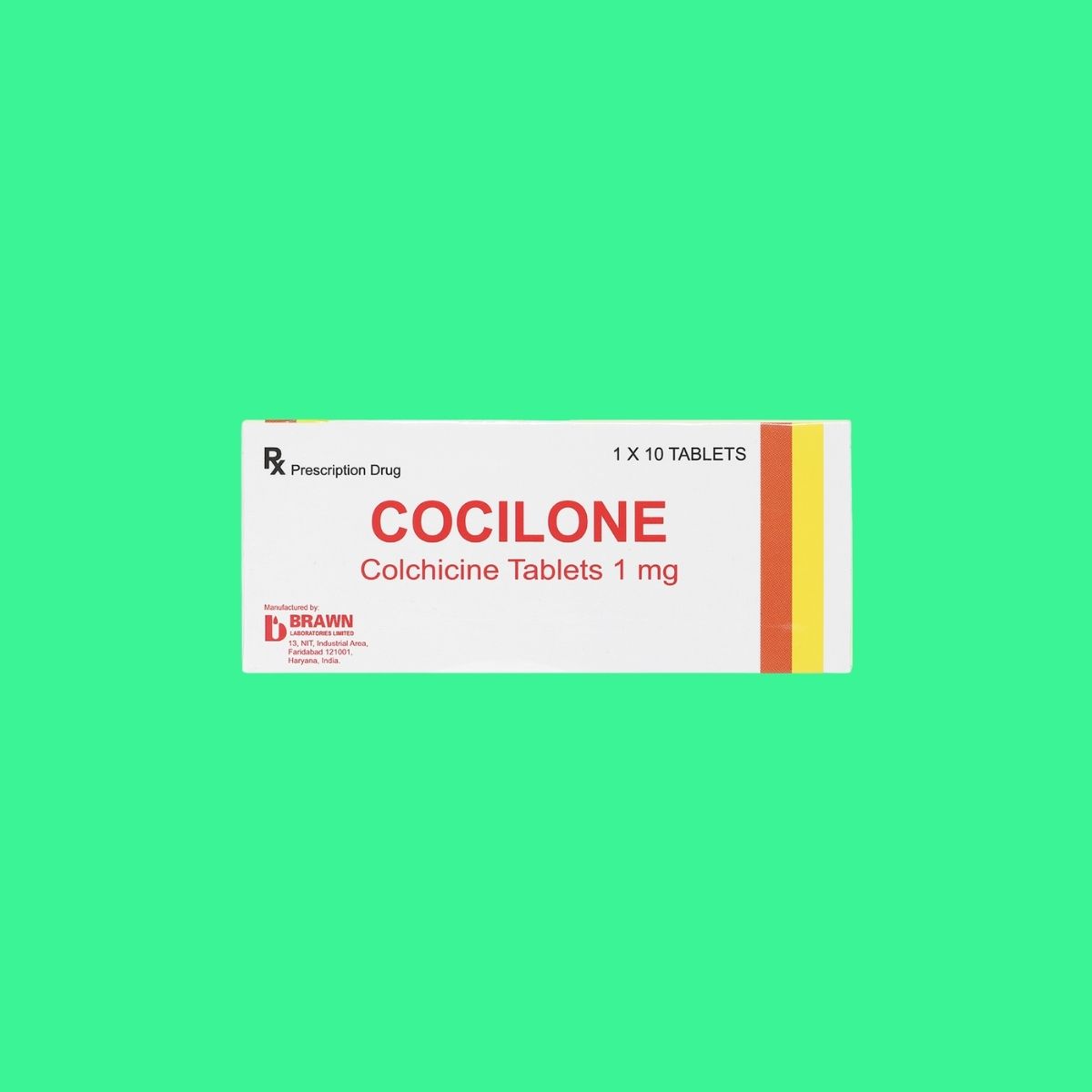 cocilone-1 Cocilone