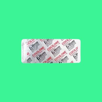 Cocilone 6 Cocilone