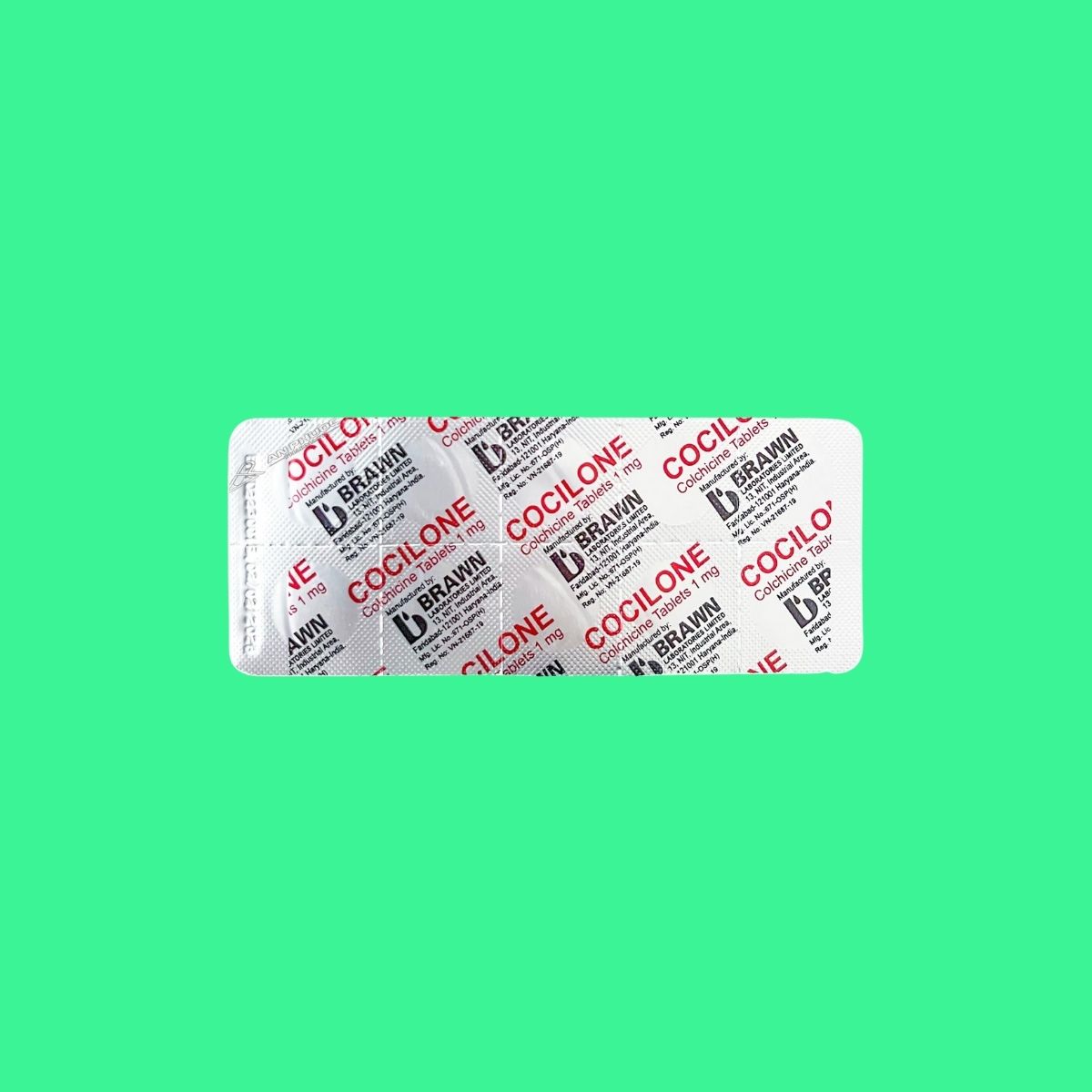 cocilone-5 Cocilone