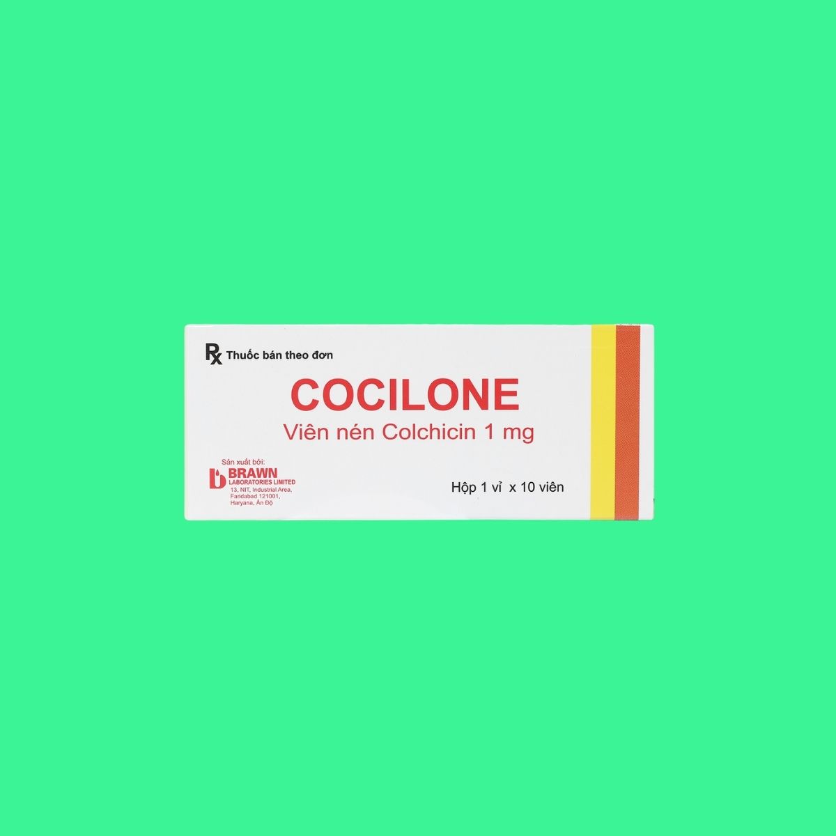 cocilone Cocilone