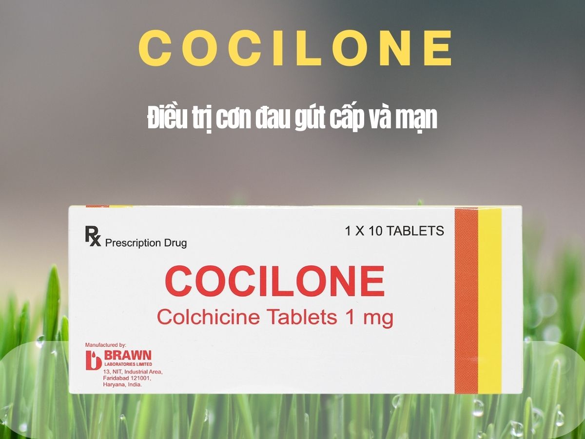 Cocilone 11 Cocilone