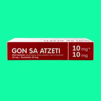 Gon sa atzeti