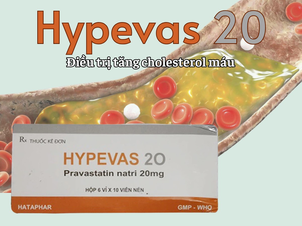 Hypevas 20 6 Hypevas 20 điều trị tăng cholesterol máu