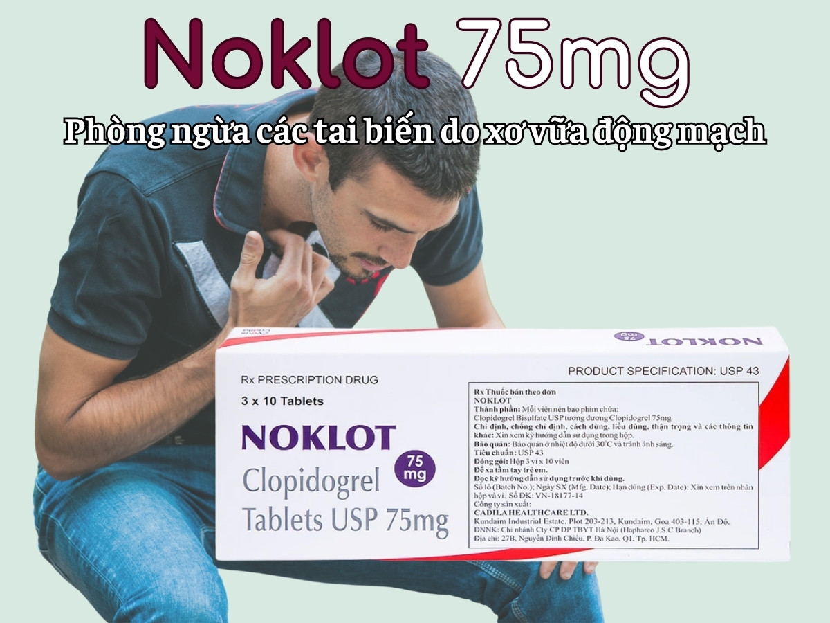 Noklot 75mg 9 Noklot 75mg phòng ngừa tai biến do xơ vữa động mạch