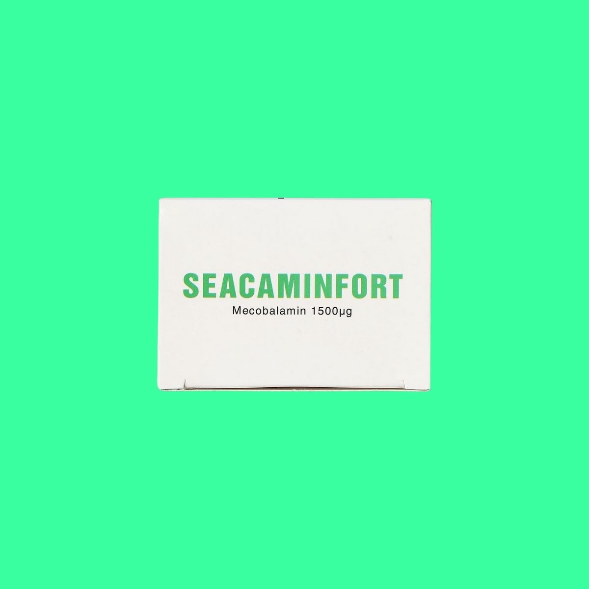seacaminfort-4 Seacaminfort
