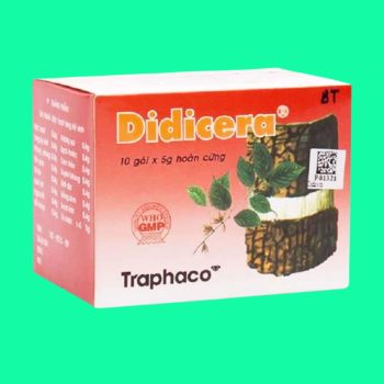 Didicera 6 Didicera