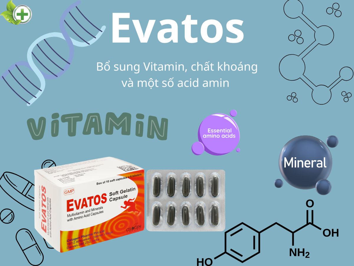 Evatos 17 Evatos